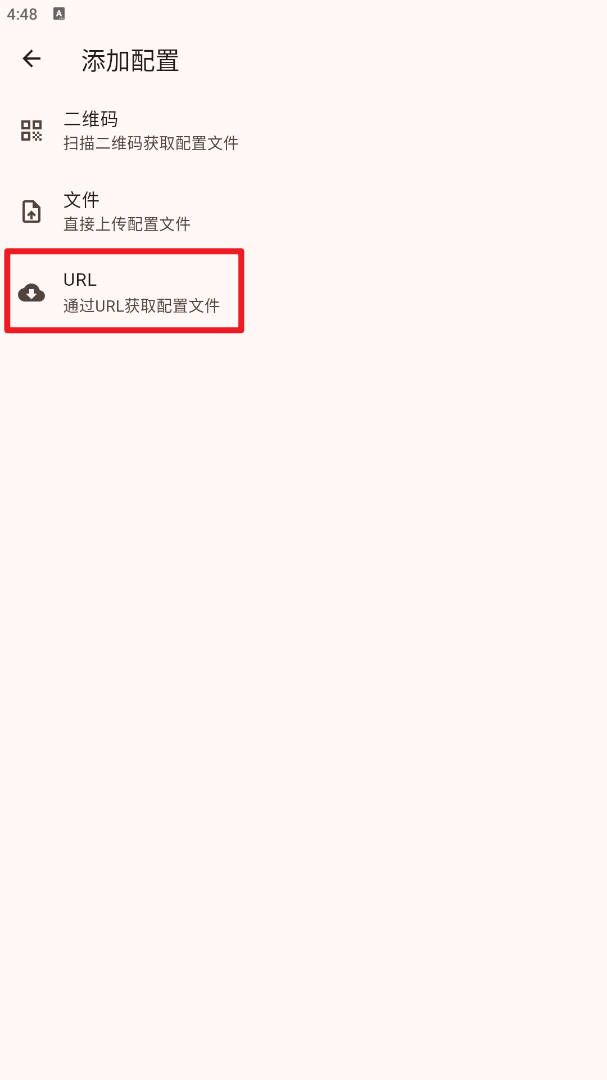 在 Android 上配置 FlClash-3