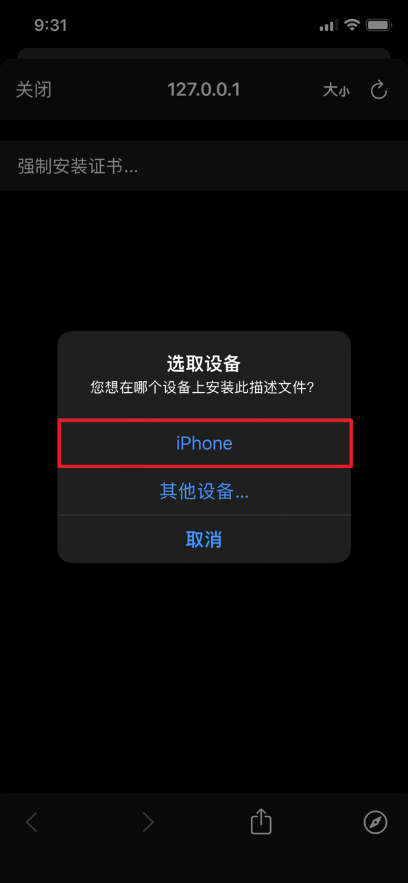 使用 Shadowrocket 破解 Emby iOS客户端-10